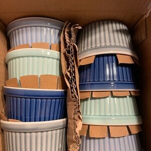 Cook and Serve Ramekins 8 Set